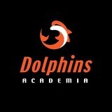 Dolphins Academia - logo