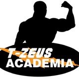 T-Zeus Academia - logo