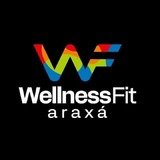Wellness Fit Araxá - logo