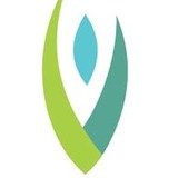 Vitalita Fisioterapia - logo