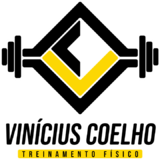 Vinícius Coelho Studio - logo