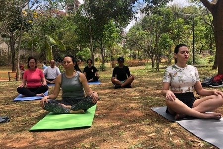Núcleo Satya de Yoga