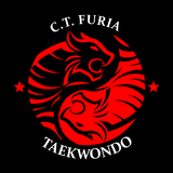 Equipe Fúria Taekwondo - logo