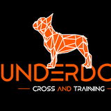 CT UNDERDOG - logo